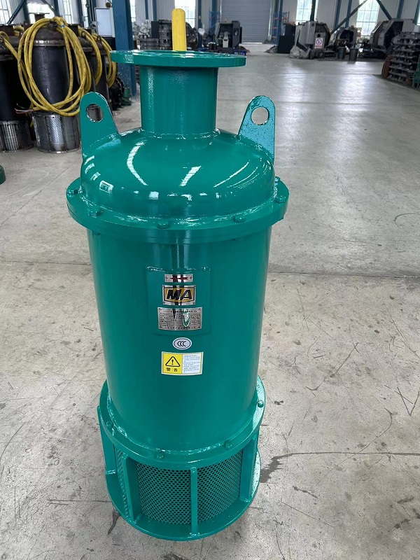 專業(yè)吸沙泵